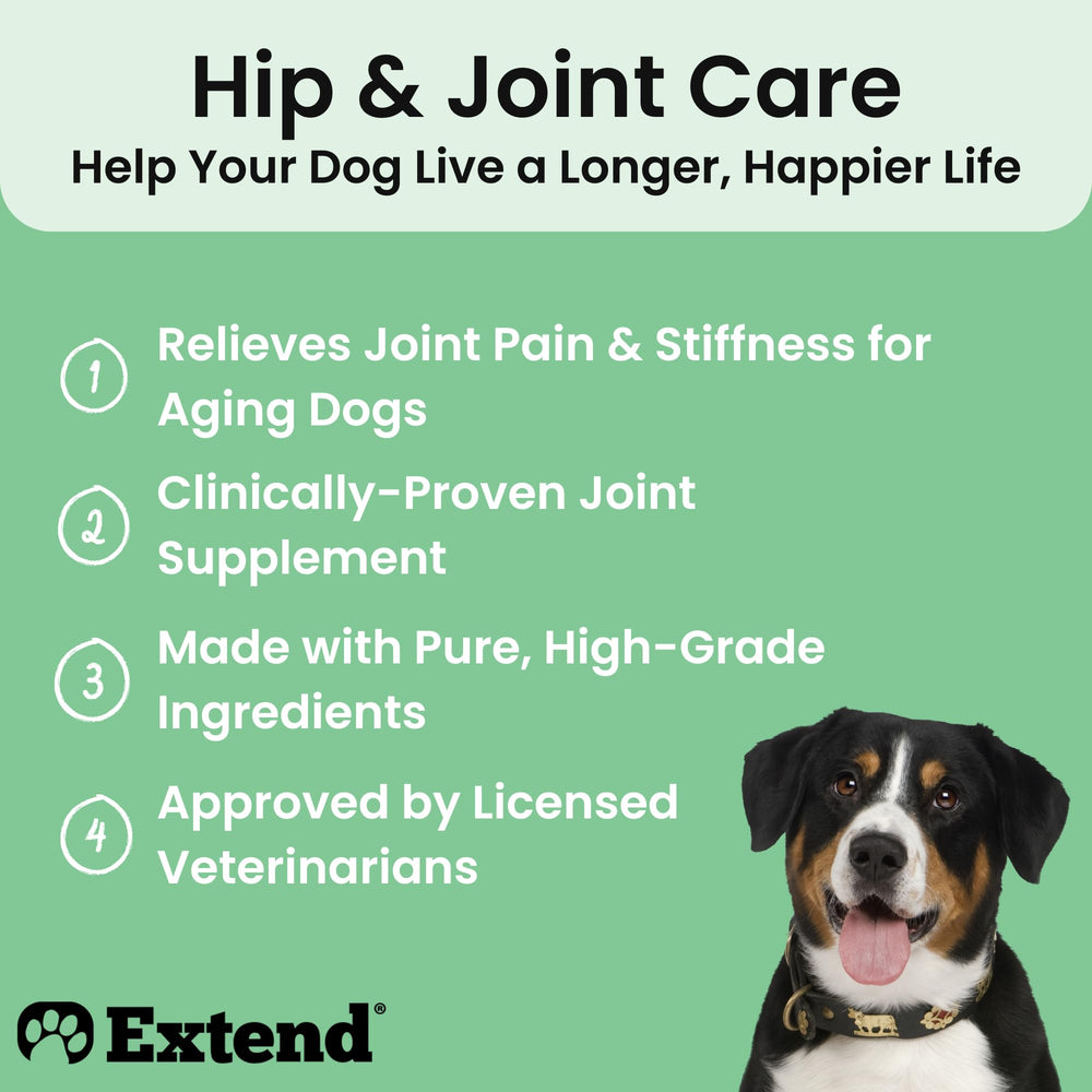 Extend Joint Care for Dogs happy running dog illustrating mobility
