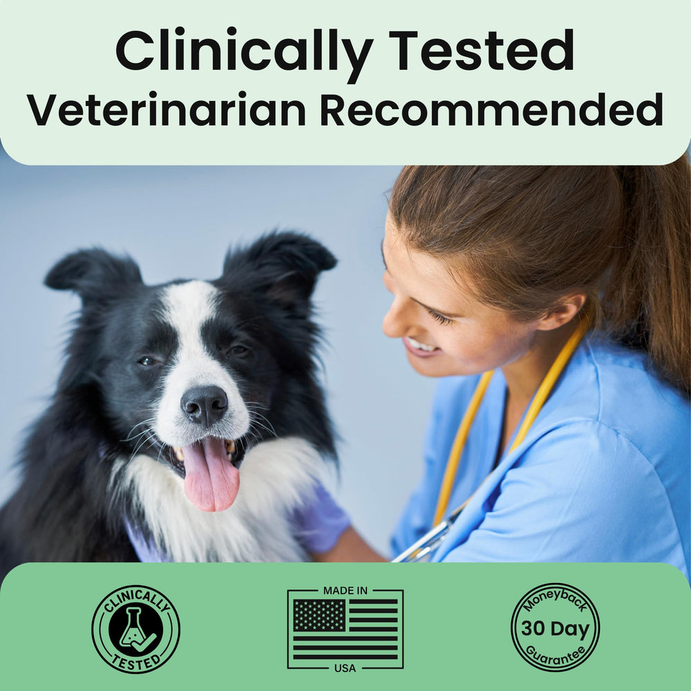 Extend Joint Care for Dogs meal mix gravy idea demonstrates feeding option