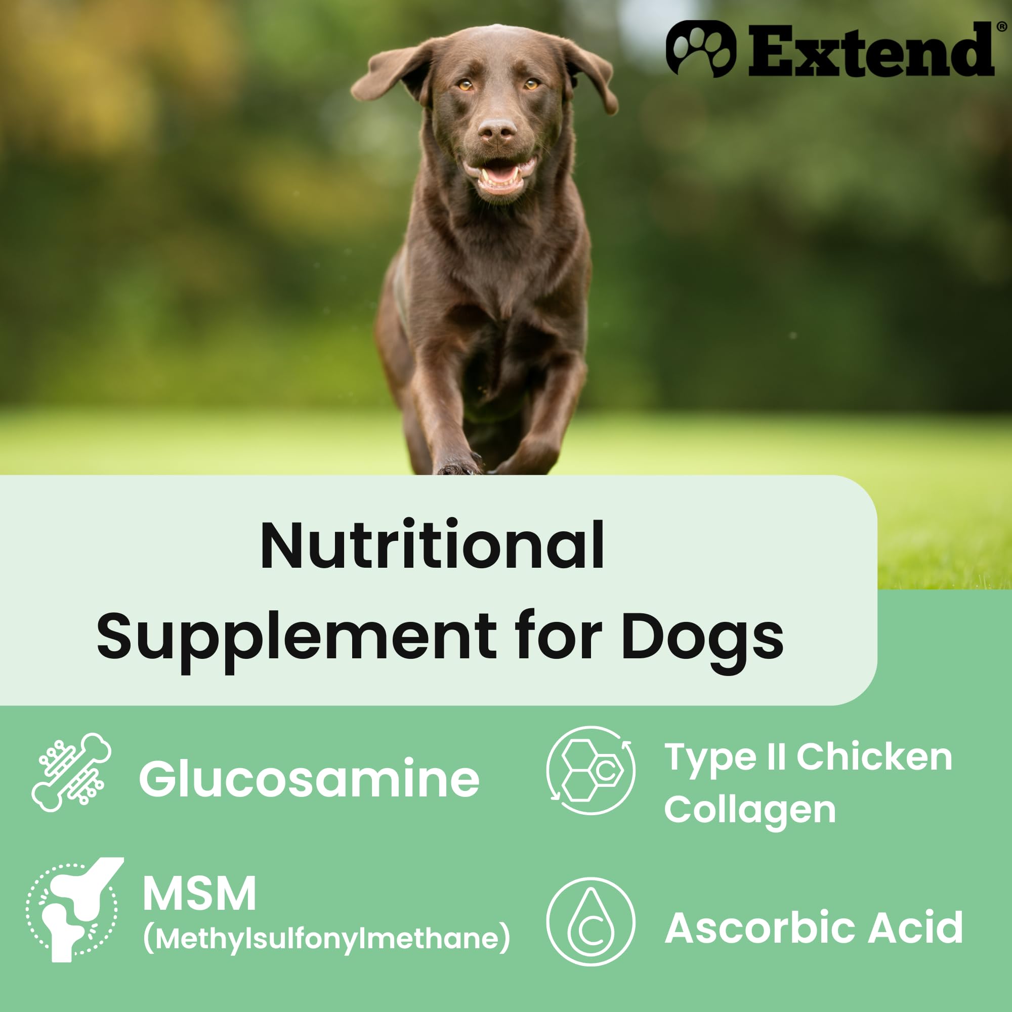 Extend Joint Care for Dogs powder dispense scoop showing measurement