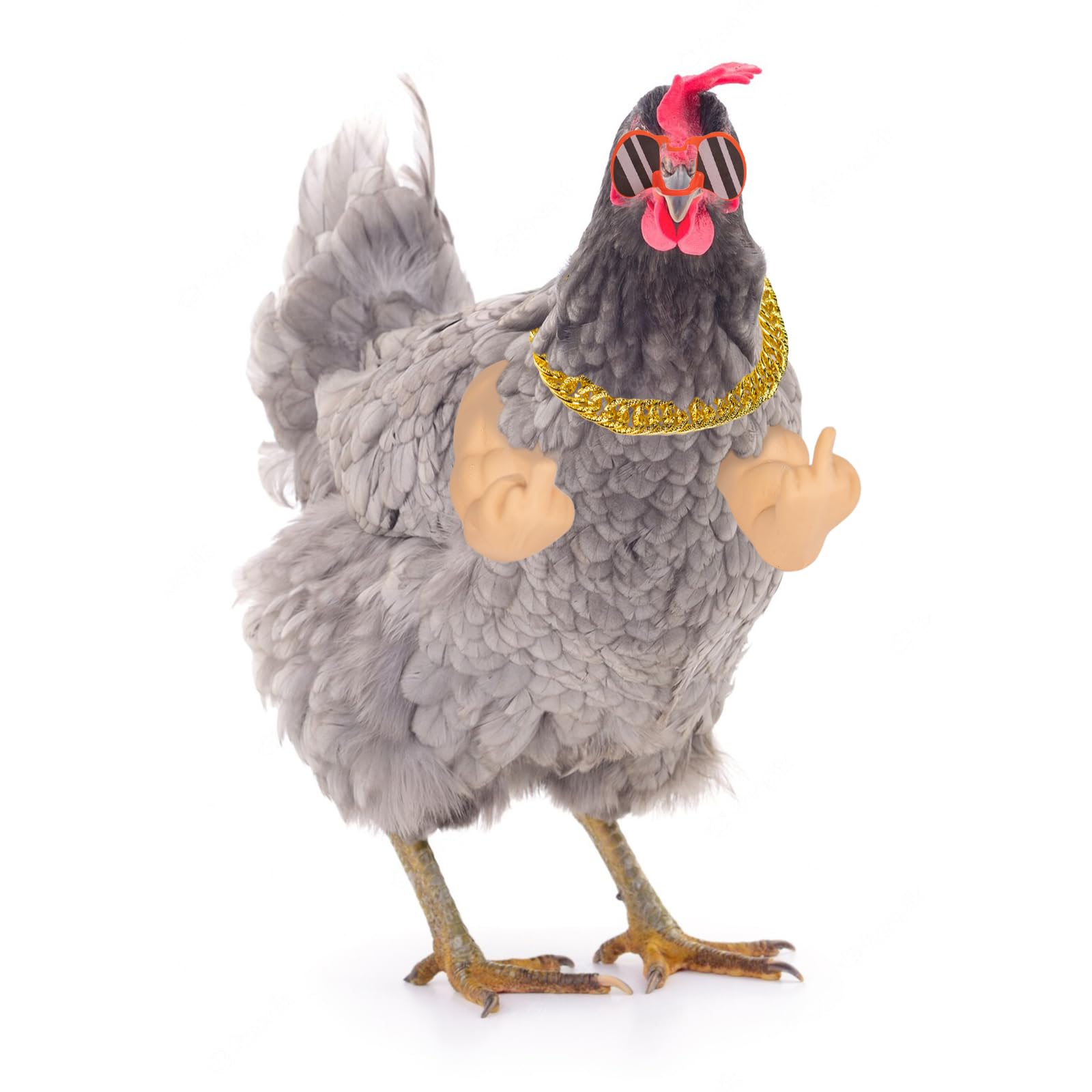 Extguds chicken glasses stickers pack provides customization for photo opportunities.