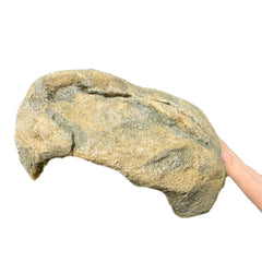 Extra Large Resin Reptile Hide side view highlights sturdy shelter.