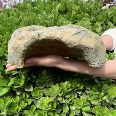 Extra Large Resin Reptile Hide top view reveals basking perch.