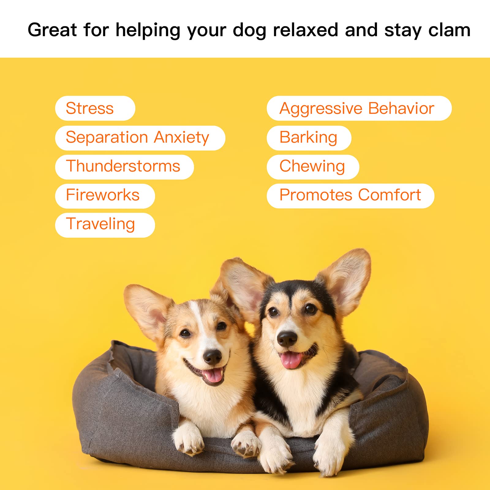 Extragele Heartbeat Puppy Toy calming dog during a storm