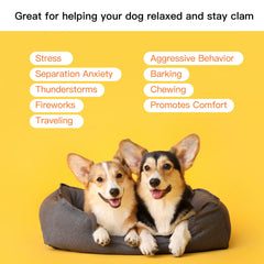 Extragele Heartbeat Puppy Toy calming dog during a storm