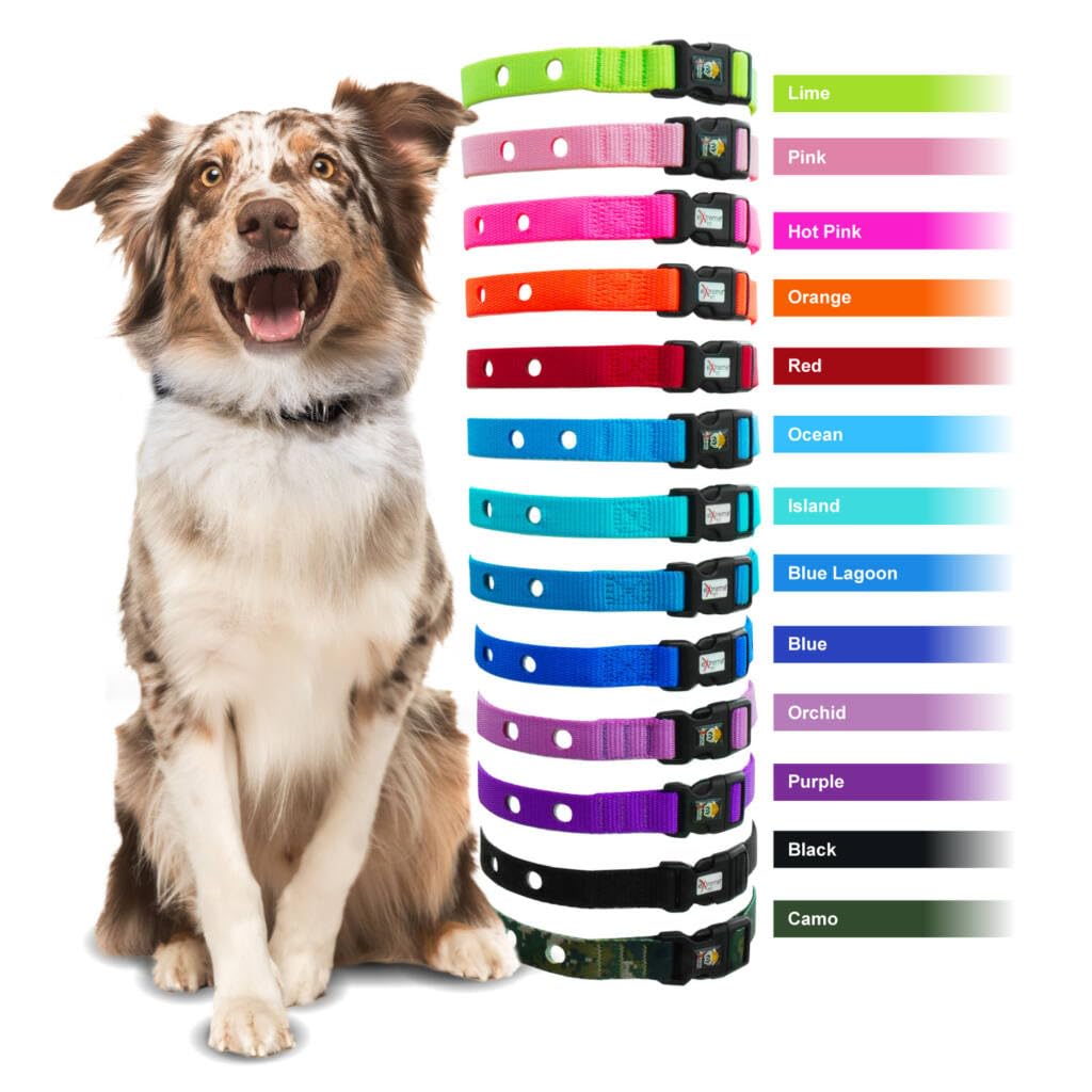 Extreme Dog Fence collar strap buckle image highlights curved locking buckle for secure fit