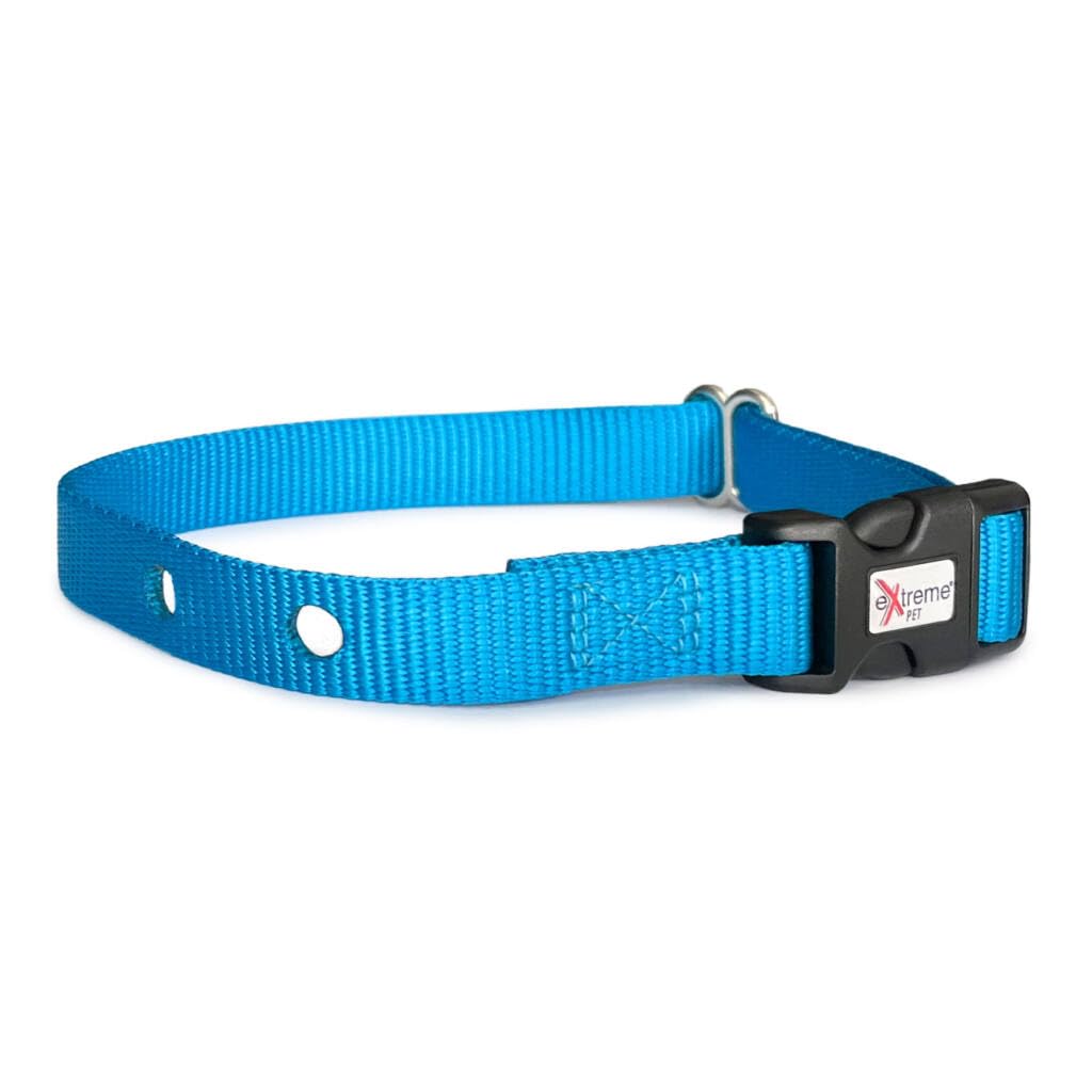 Extreme Dog Fence heavy-duty collar strap Ocean front view shows durable nylon for daily wear
