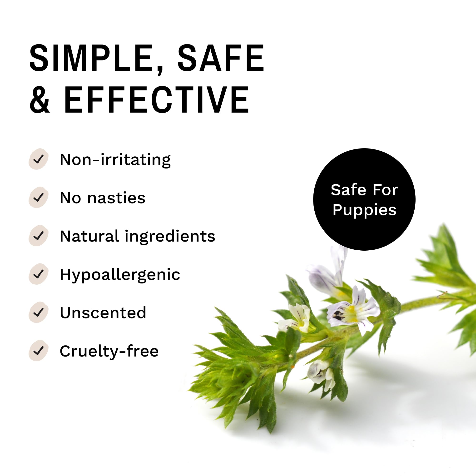 Eye Envy Nose Balm application soothes cracked noses with a natural formula.