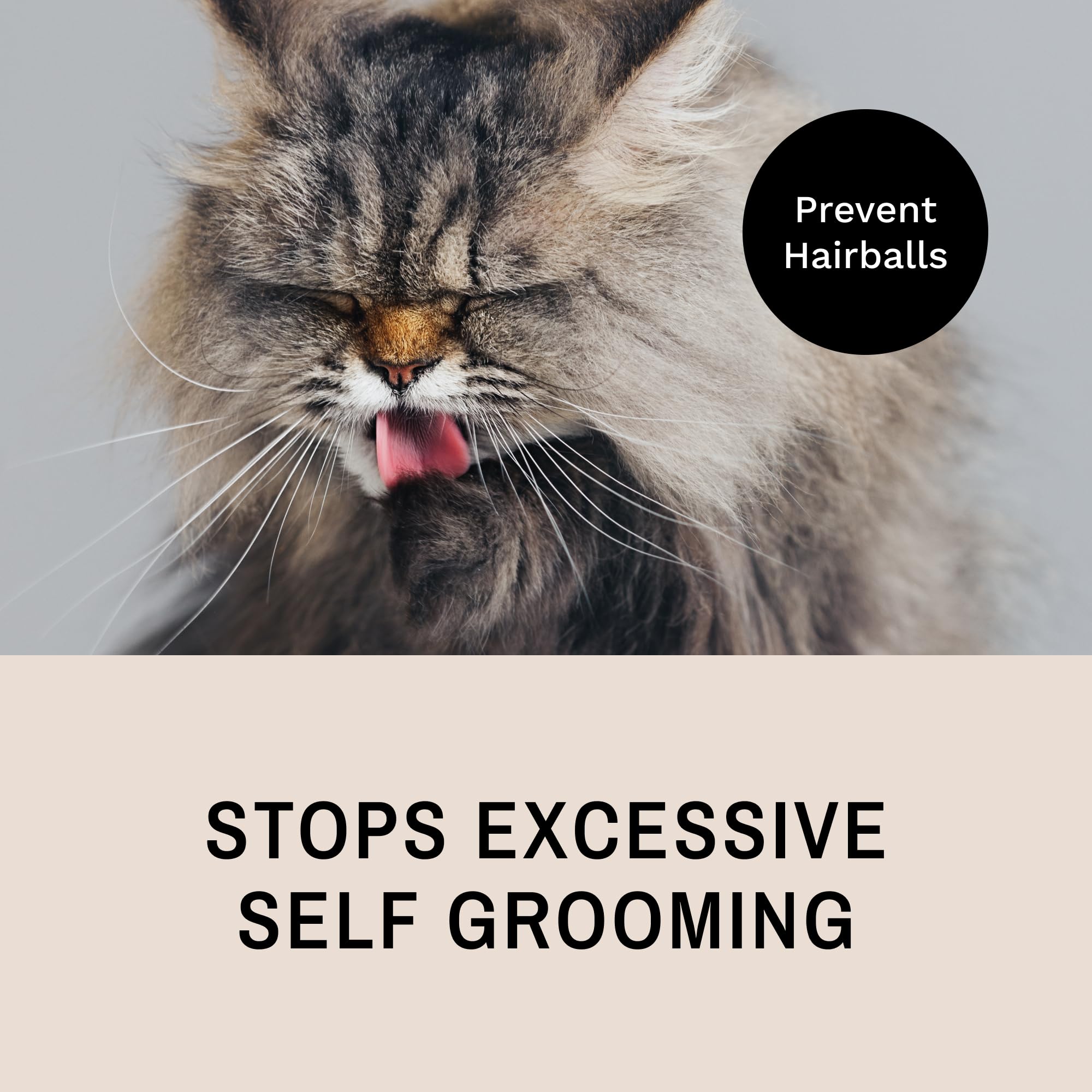 Eye Envy ProGlide detangling-action demonstrates knot removal and tangle prevention for smoother coats