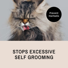 Eye Envy ProGlide detangling-action demonstrates knot removal and tangle prevention for smoother coats