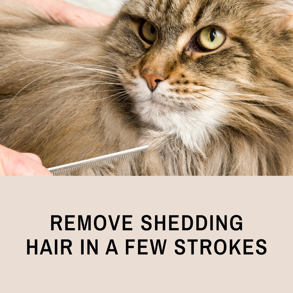 Eye Envy ProGlide rounded-pin tips protect skin during grooming