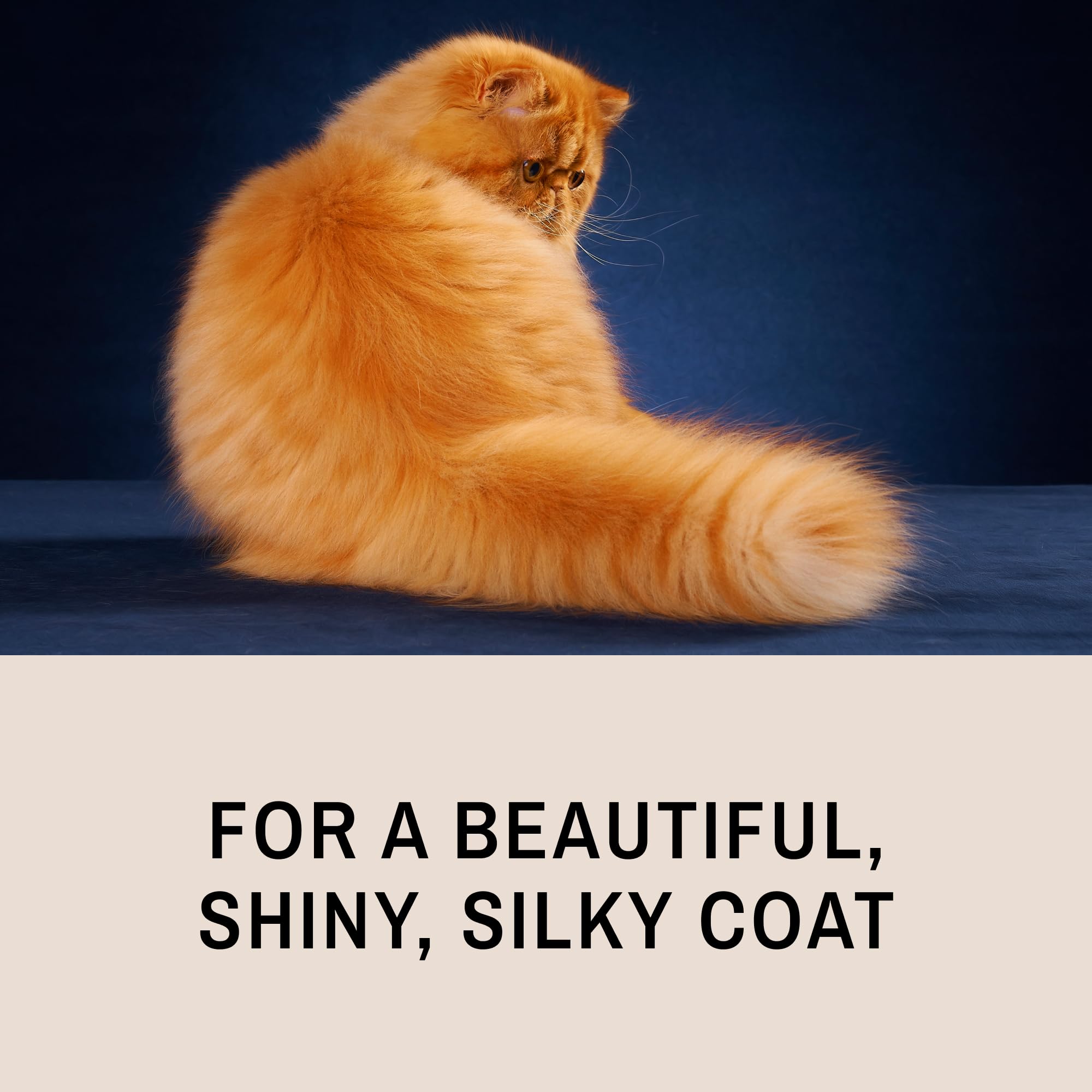 Eye Envy ProGlide skin-safe design aids comfortable grooming sessions