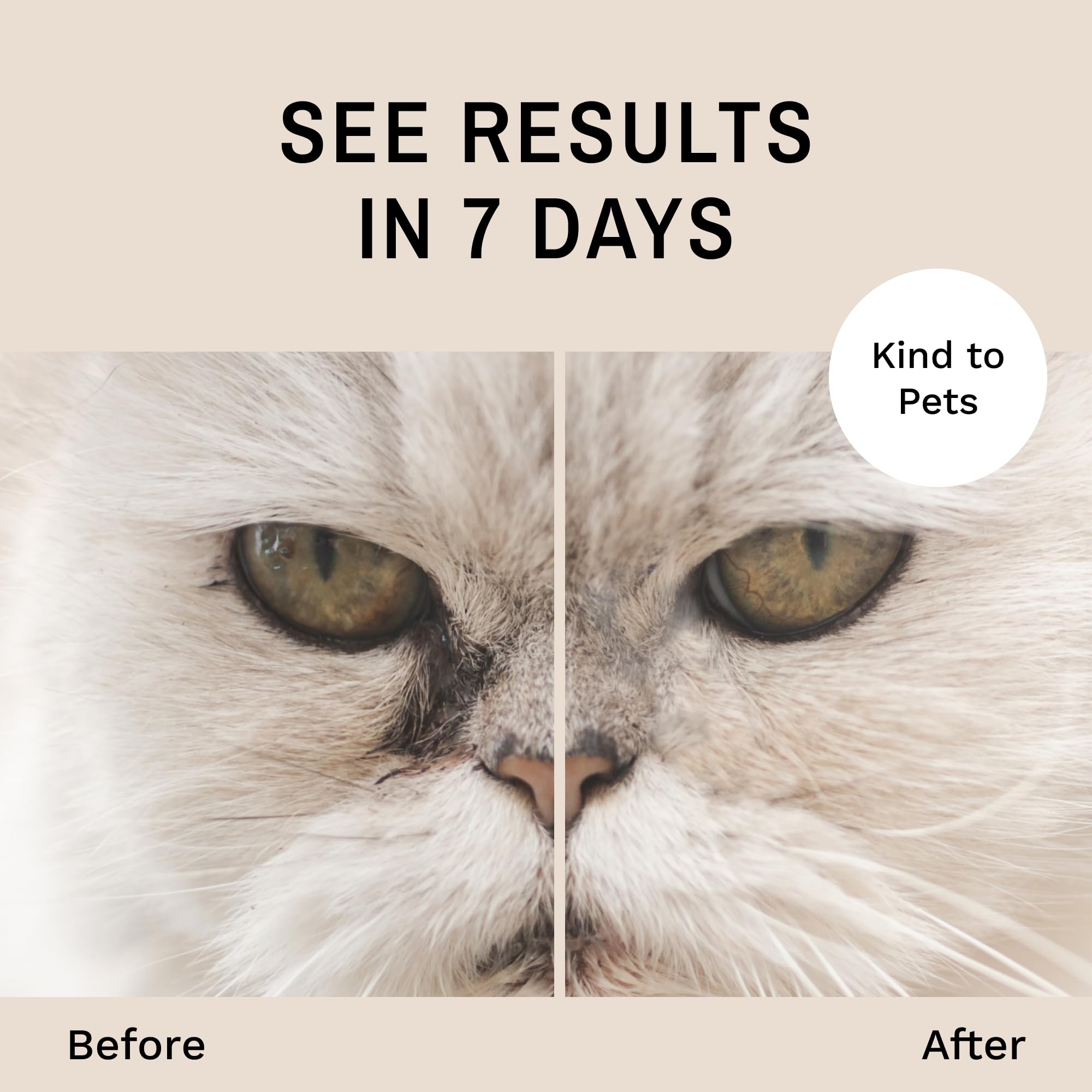 Eye Envy ProPowder brush large for medium and large cats
