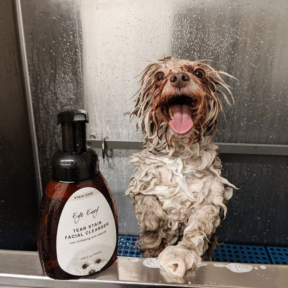 Eye Envy Tear Stain Facial Cleanser dog-cat photo implies cross-species use.