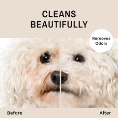 Eye Envy Tear Stain Facial Cleanser pre-treatment image suggests gentle prep.