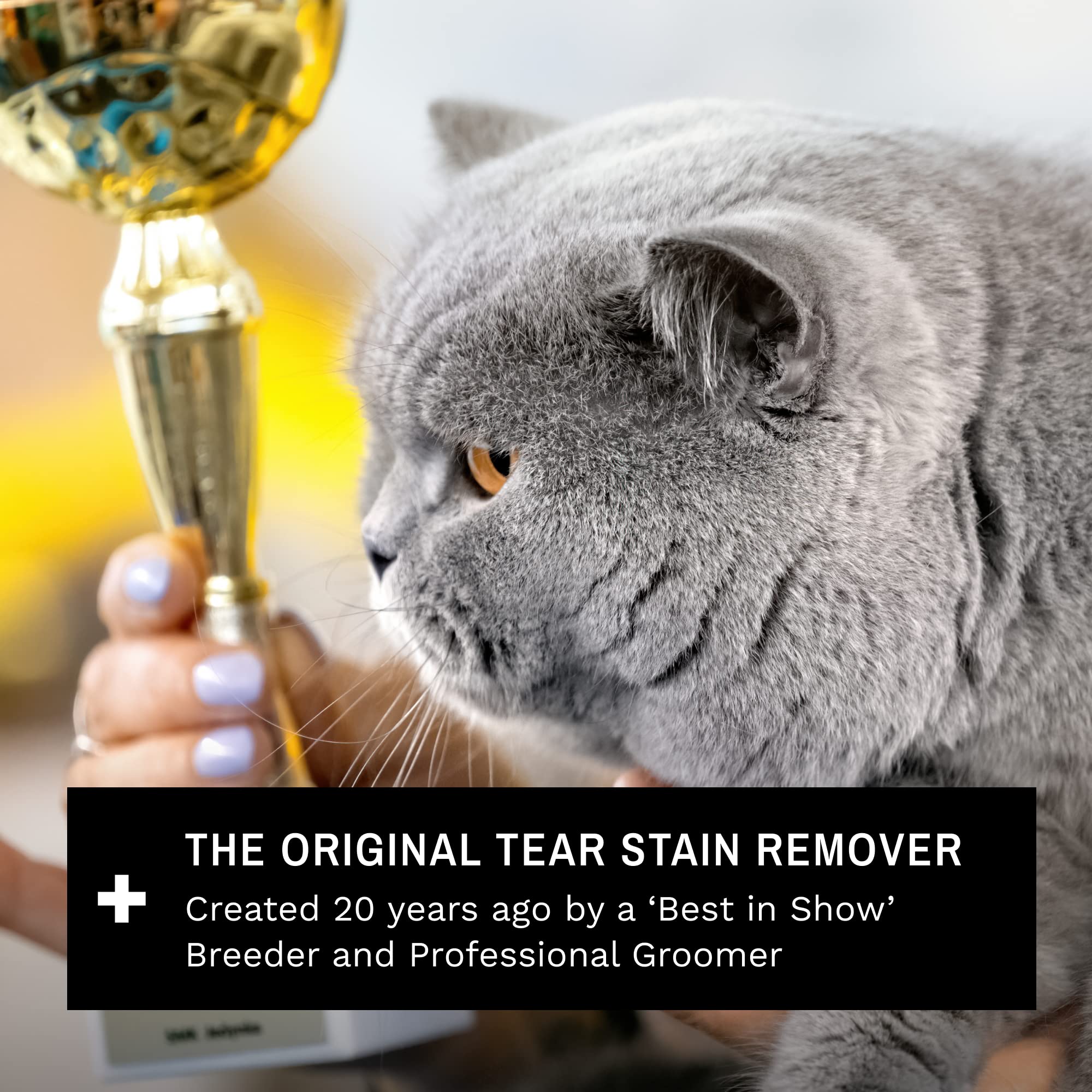 Eye Envy Tear Stain Wipes hypoallergenic formulation for cats