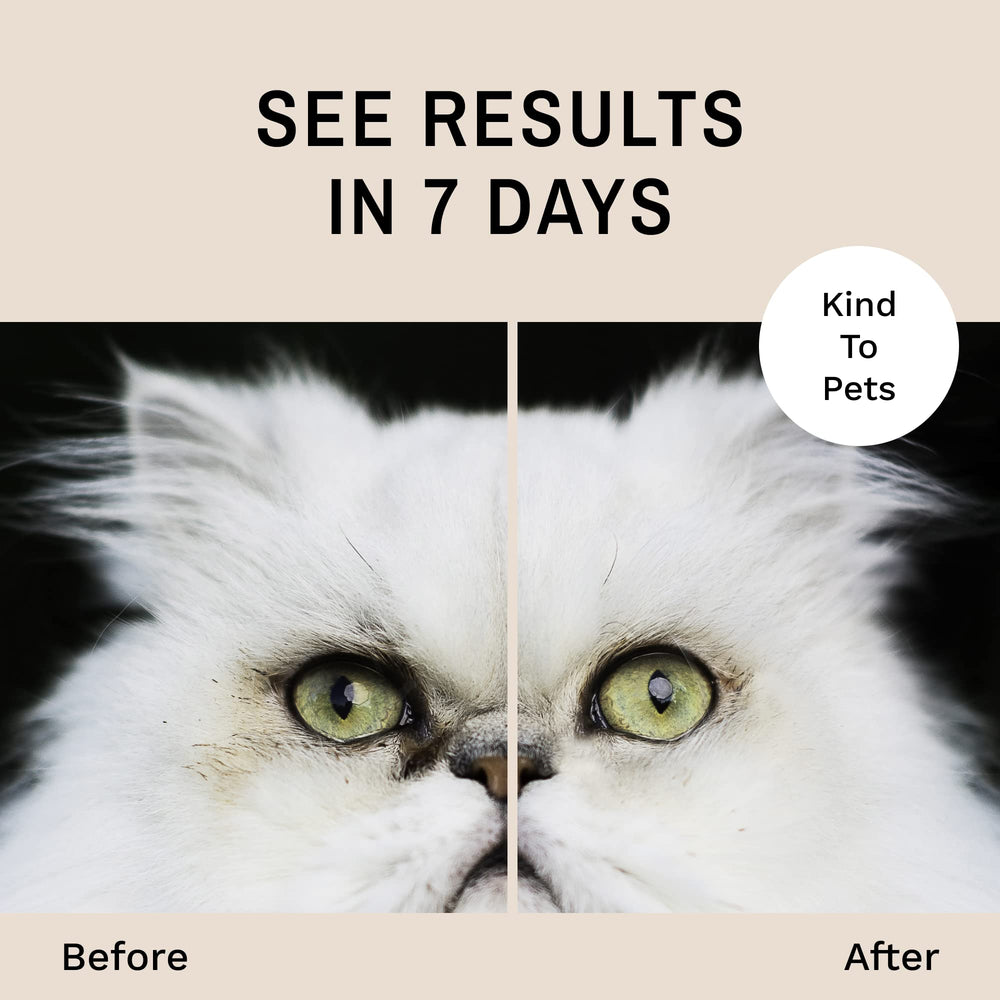 Eye Envy Tear Stain Wipes in-use with gentle cleaning action for cats