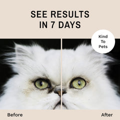 Eye Envy Tear Stain Wipes in-use with gentle cleaning action for cats