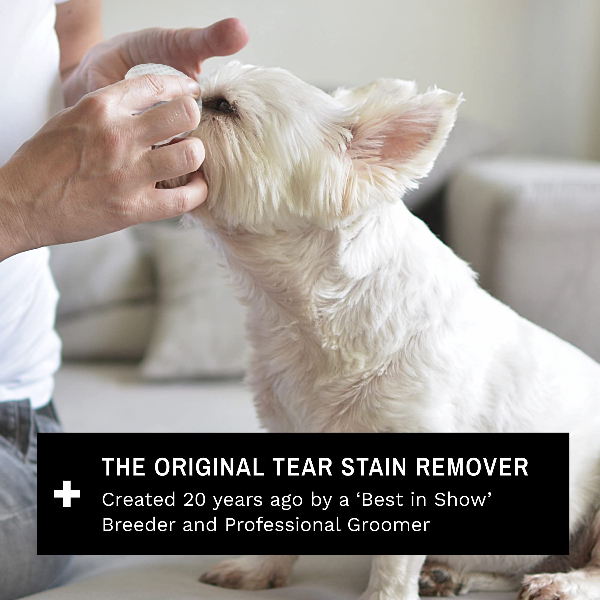 Eye Envy White-dog Breed Wrinkle Demo indicating ideal candidates for best results