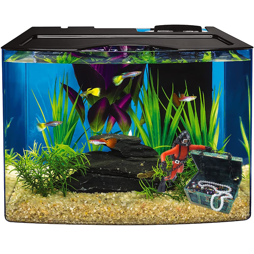 Eyech compatible with freshwater and saltwater setups for versatility.