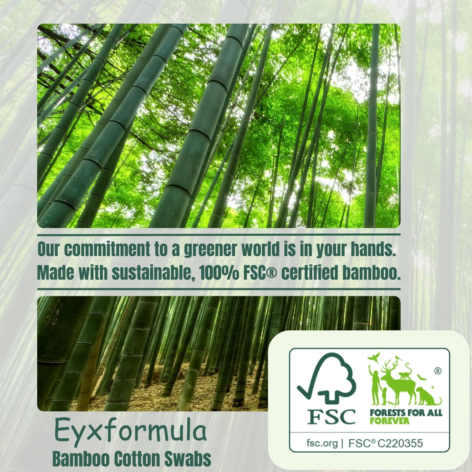 eyxformula 6inch cotton swabs for cat ear cleaning gentle routine care