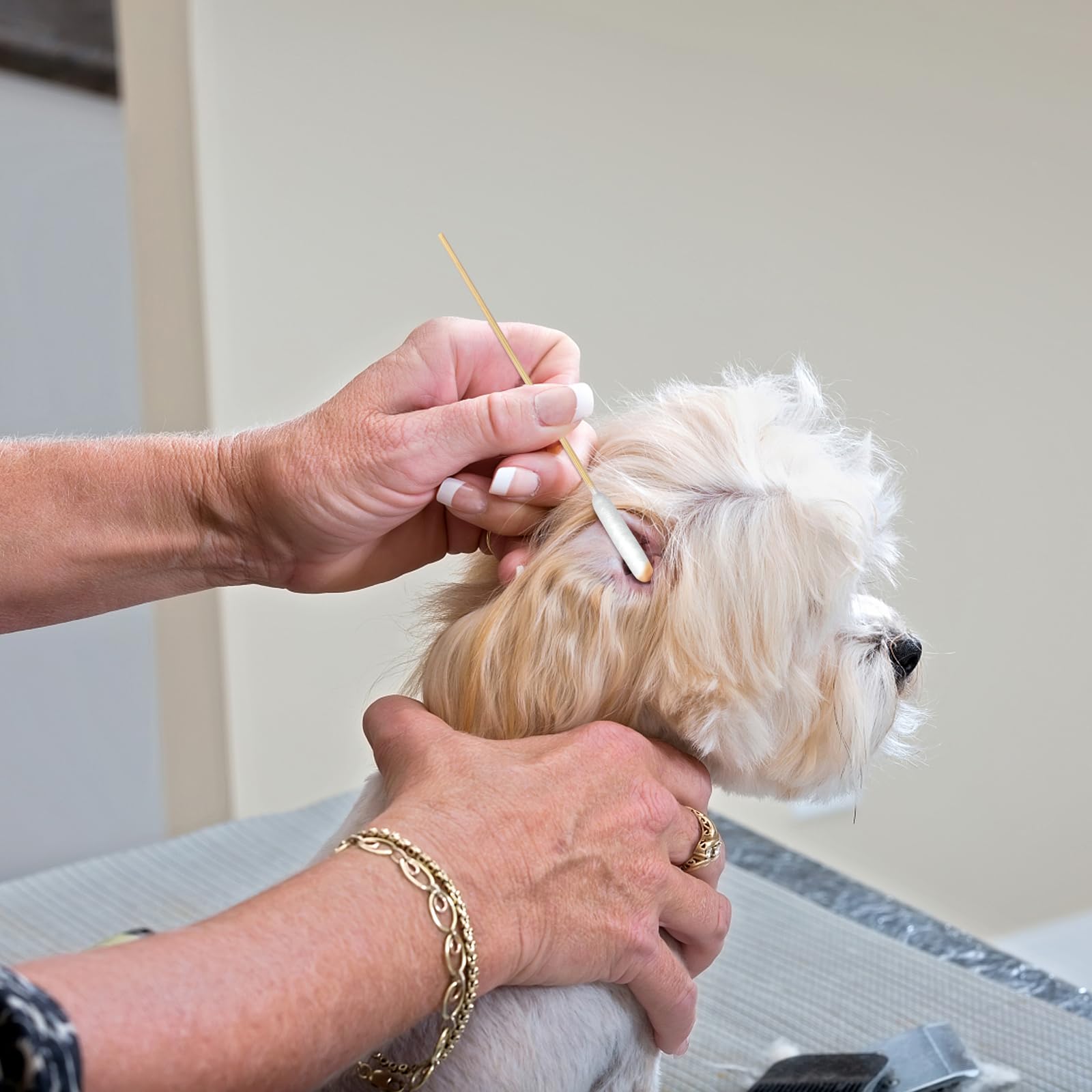 eyxformula dog ear cleaning swabs with extra-long tips reach deep without discomfort