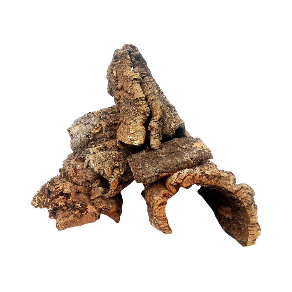 EZ Botanicals cork bark assortment for terrariums adds natural texture and decor.