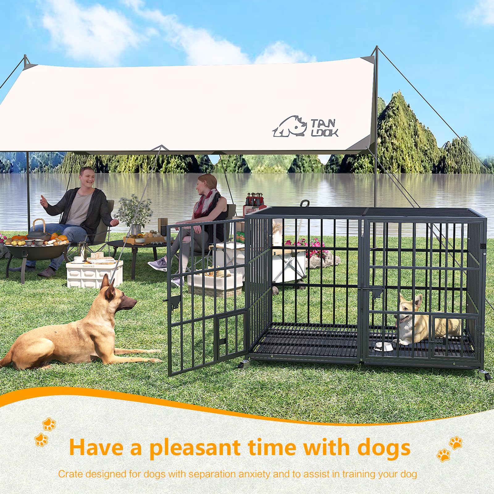 EZ4ENCE dog crate divider-panel function enables two-dog or puppy-to-adult transitions.