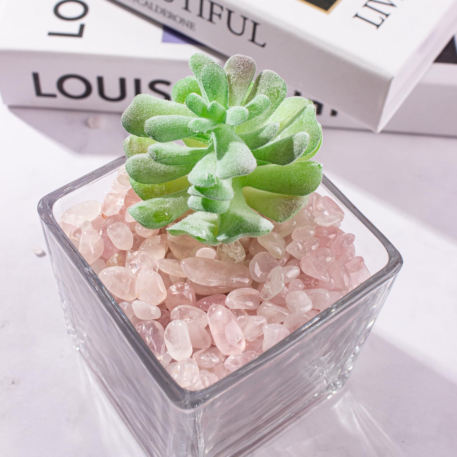 EZEELAI rose quartz gravel in a succulent display for color and texture