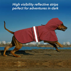 Ezierfy Belly and chest straps secure a comfortable fit