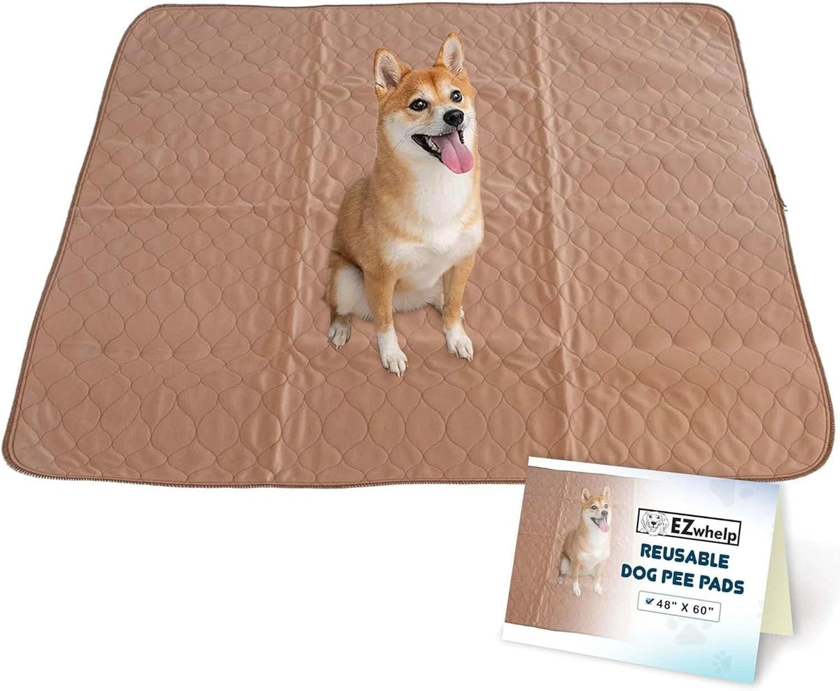 EZWhelp reusable pee pad 48x60 top view ideal for puppy training and everyday pet protection