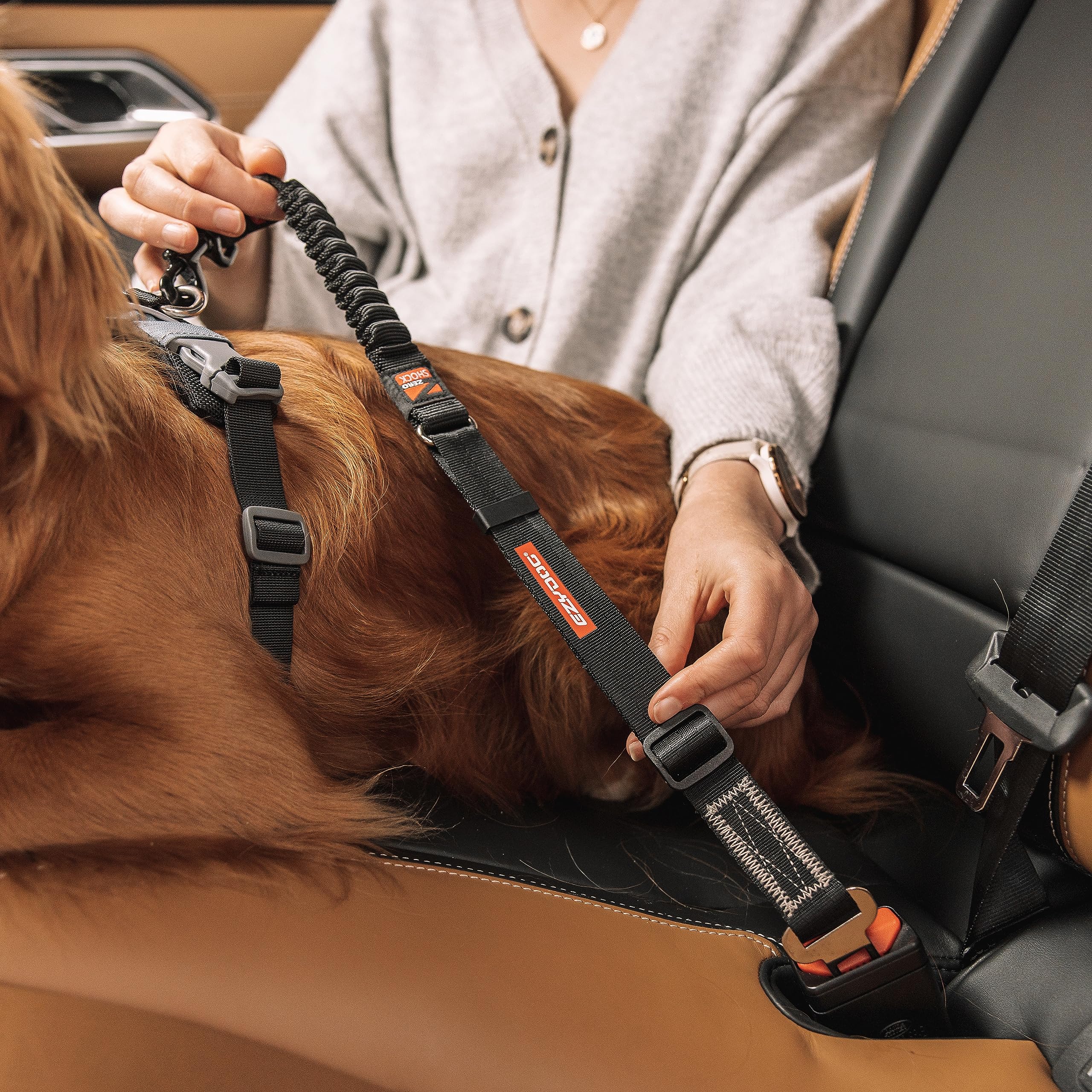 ezydog car-travel scenario image suggests reduced driver distraction during trips