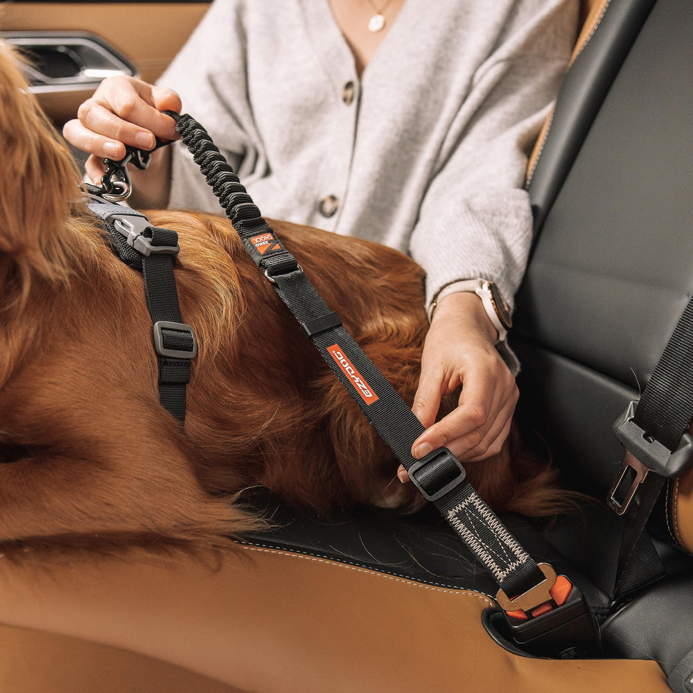 ezydog car-travel scenario image suggests reduced driver distraction during trips