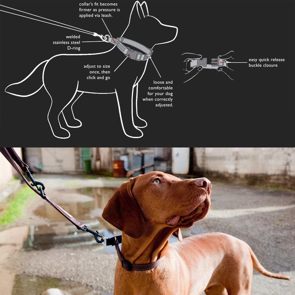 EzyDog Checkmate cinching design shows secure fit when pulled for escape-proof control.