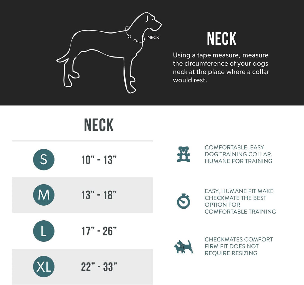 EzyDog Checkmate durable nylon with welded D-ring withstands daily wear.