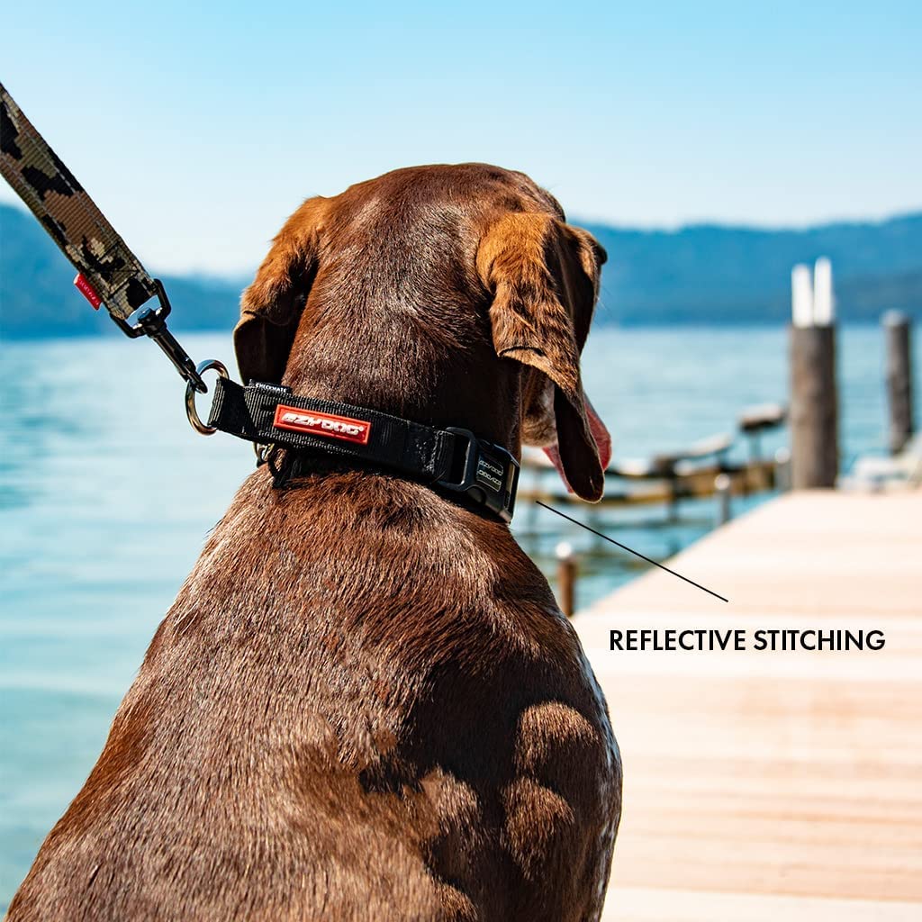 EzyDog Checkmate low-profile silhouette enhances comfort while staying visible.