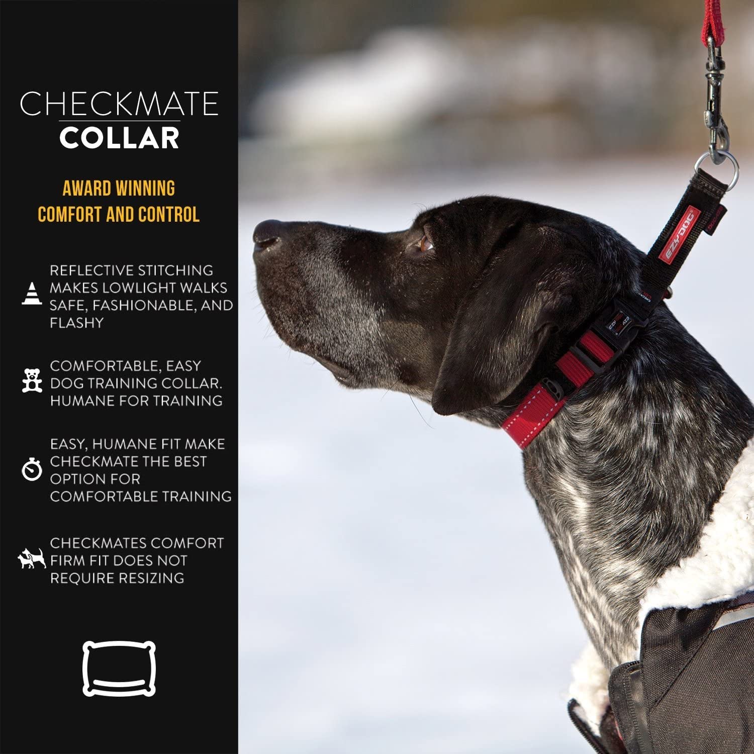 EzyDog Checkmate collar quick-release buckle enables easy put-on and removal.