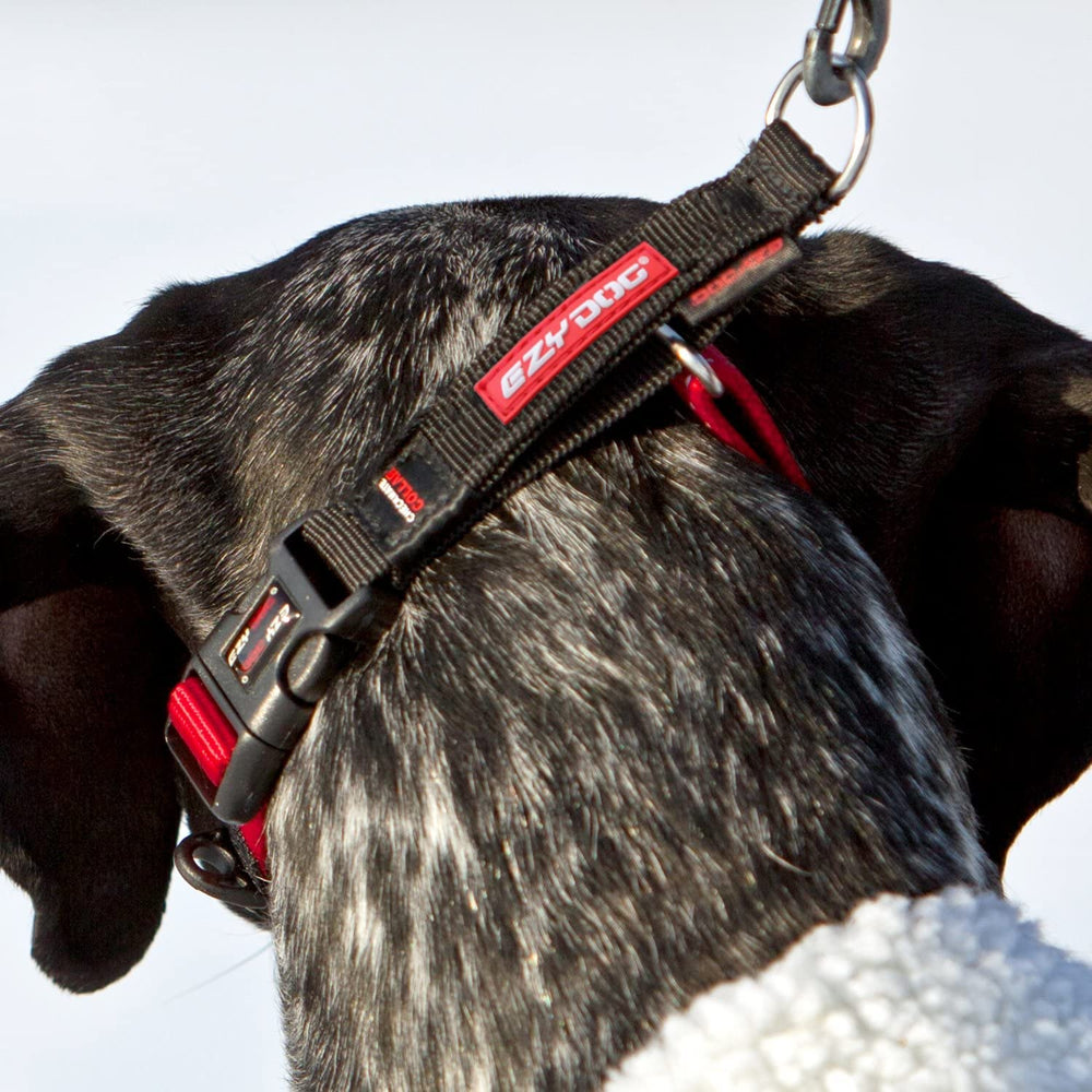 EzyDog Checkmate collar reflective stitching increases visibility during night walks.