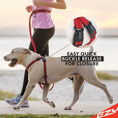EzyDog chest plate design demonstrates even pressure distribution to reduce neck strain