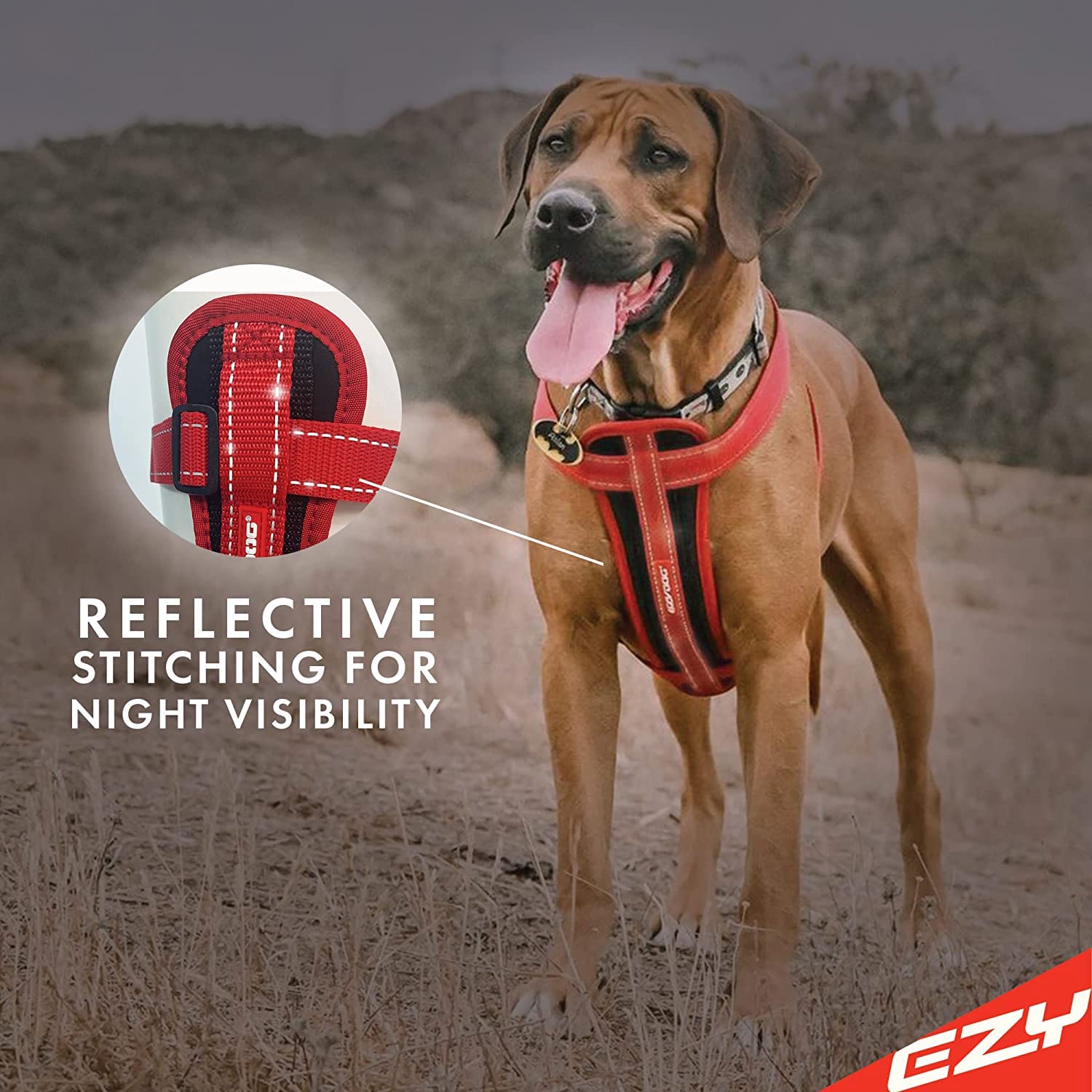 EzyDog rust-proof welded D-ring as durable leash attachment point