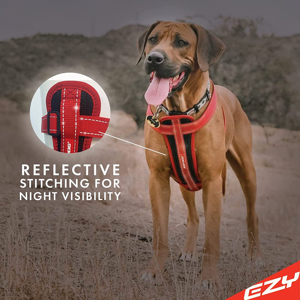 EzyDog rust-proof welded D-ring as durable leash attachment point