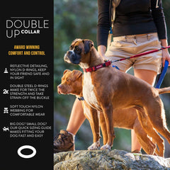 EzyDog Double Up collar shows dual D-rings for secure leash connections on active dogs