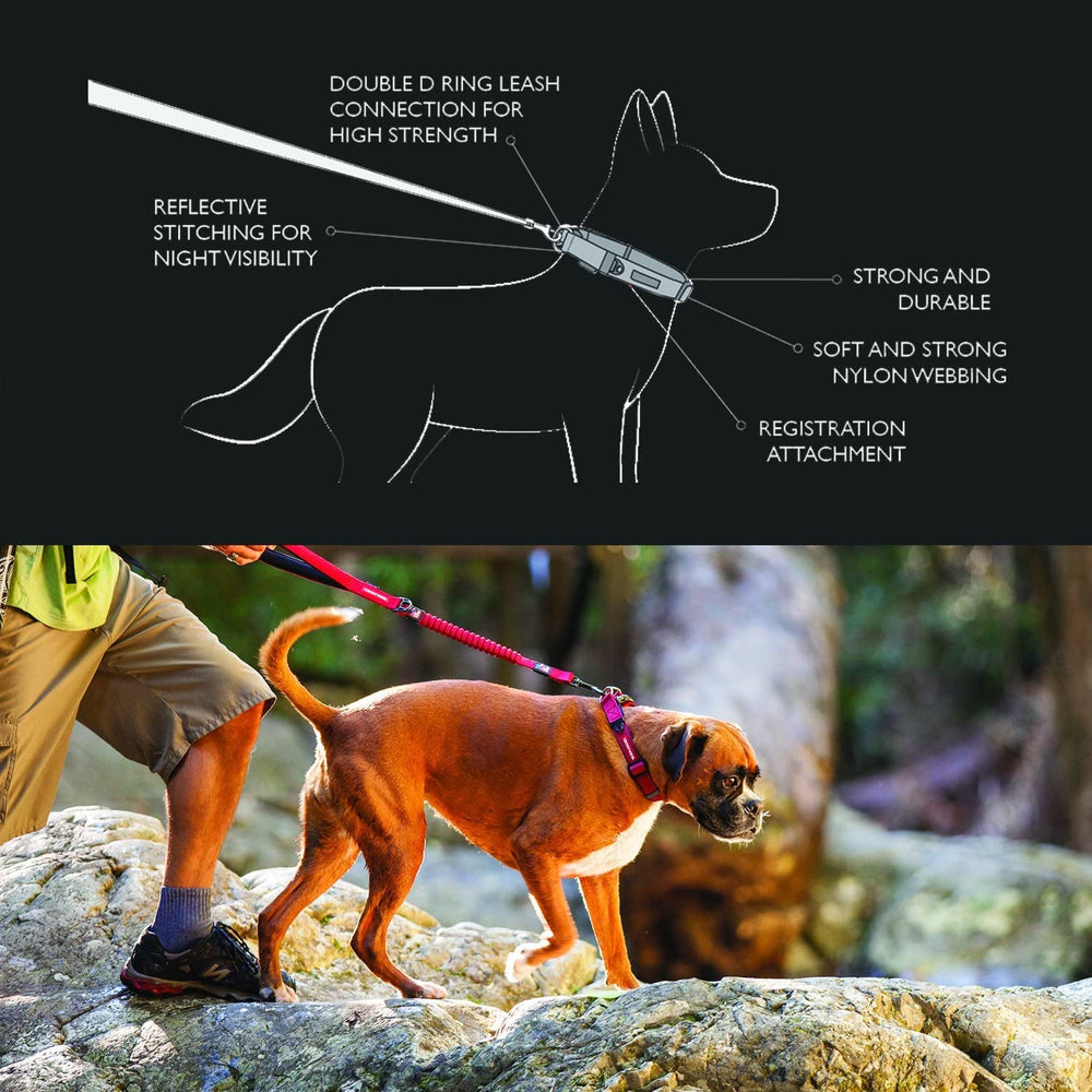 EzyDog Double Up nylon webbing with soft touch for comfortable all day wear