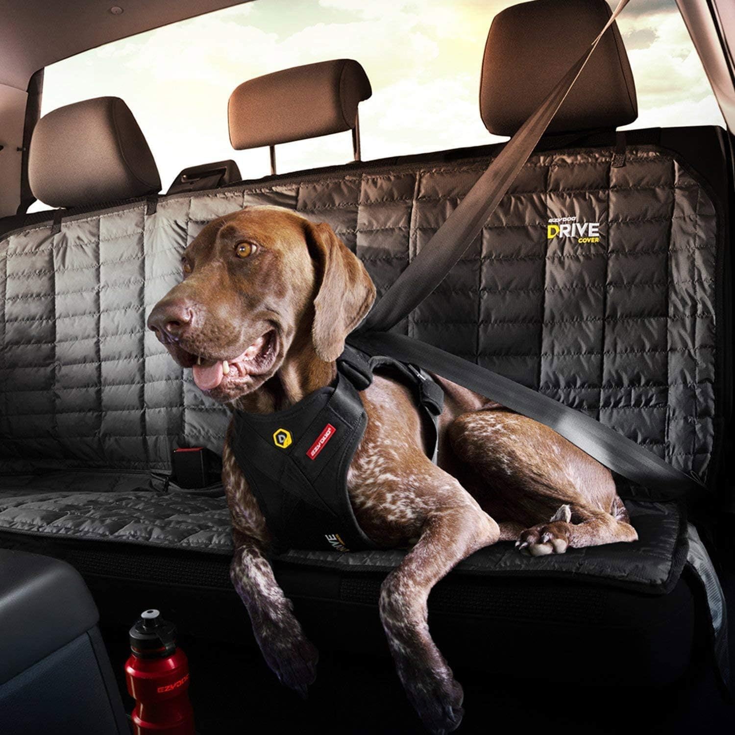 EzyDog Drive aluminum Tri-Glides ensure durable, smooth adjustments.