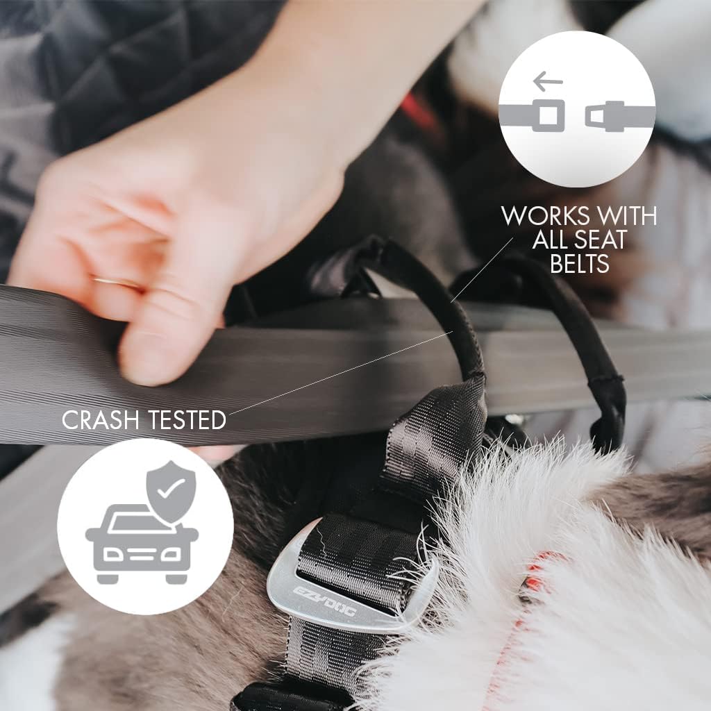 EzyDog Drive dual SR buckle-closure ensures fast, secure harnessing.
