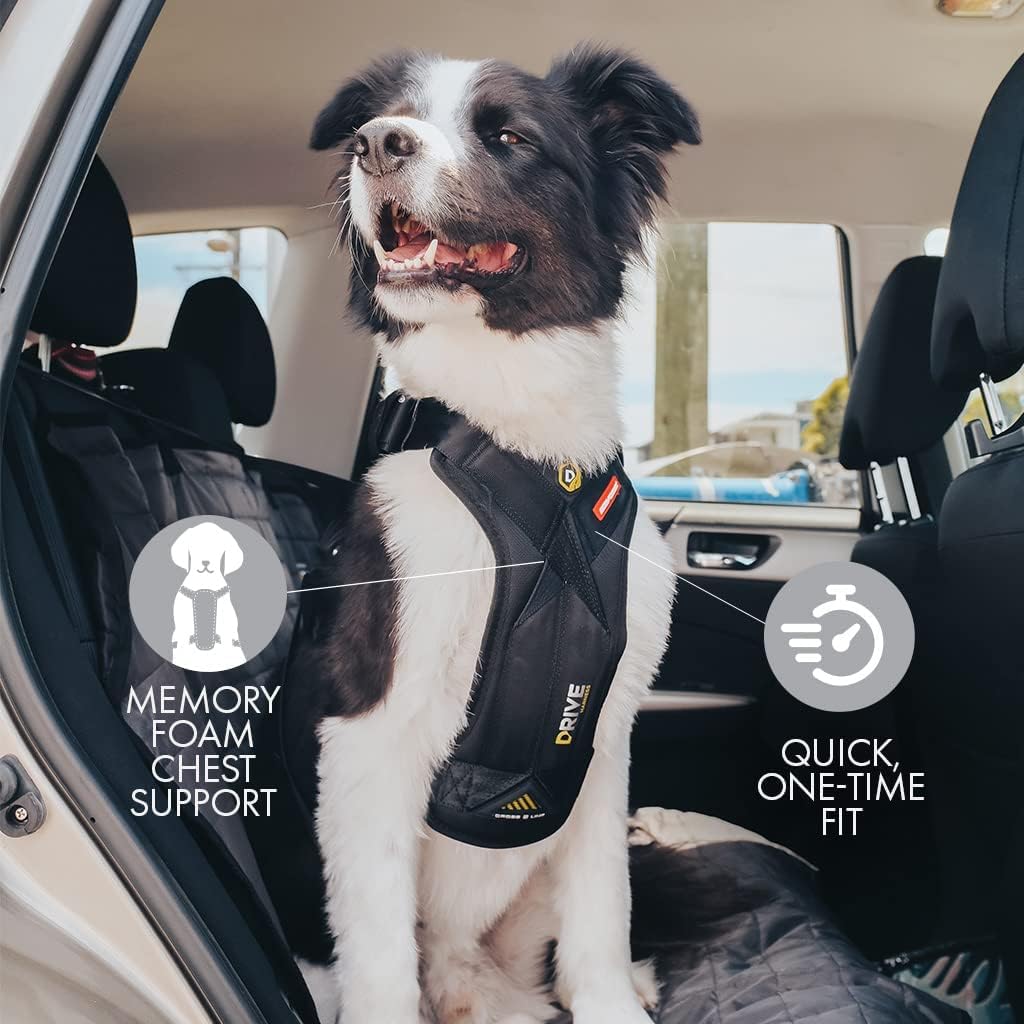 EzyDog Drive padded chest-plate provides comfortable, contoured support.