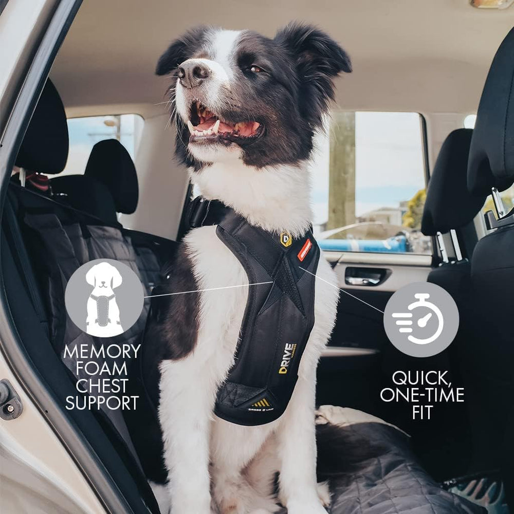 EzyDog Drive padded chest-plate provides comfortable, contoured support.
