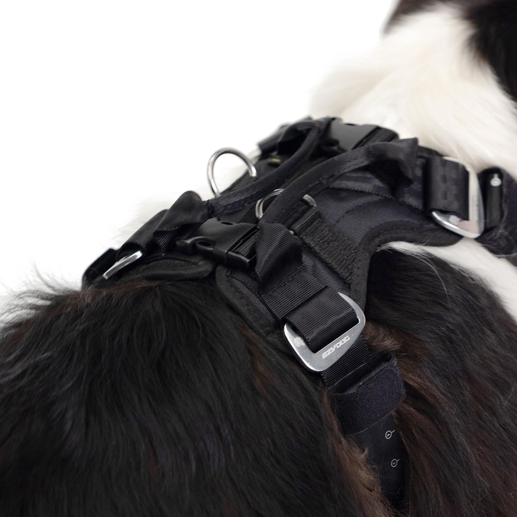 EzyDog Drive quick-on-off design supports busy trips.