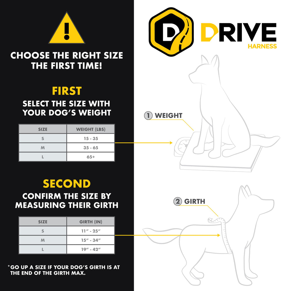 EzyDog Drive universal seat belt compatibility allows easy installation.