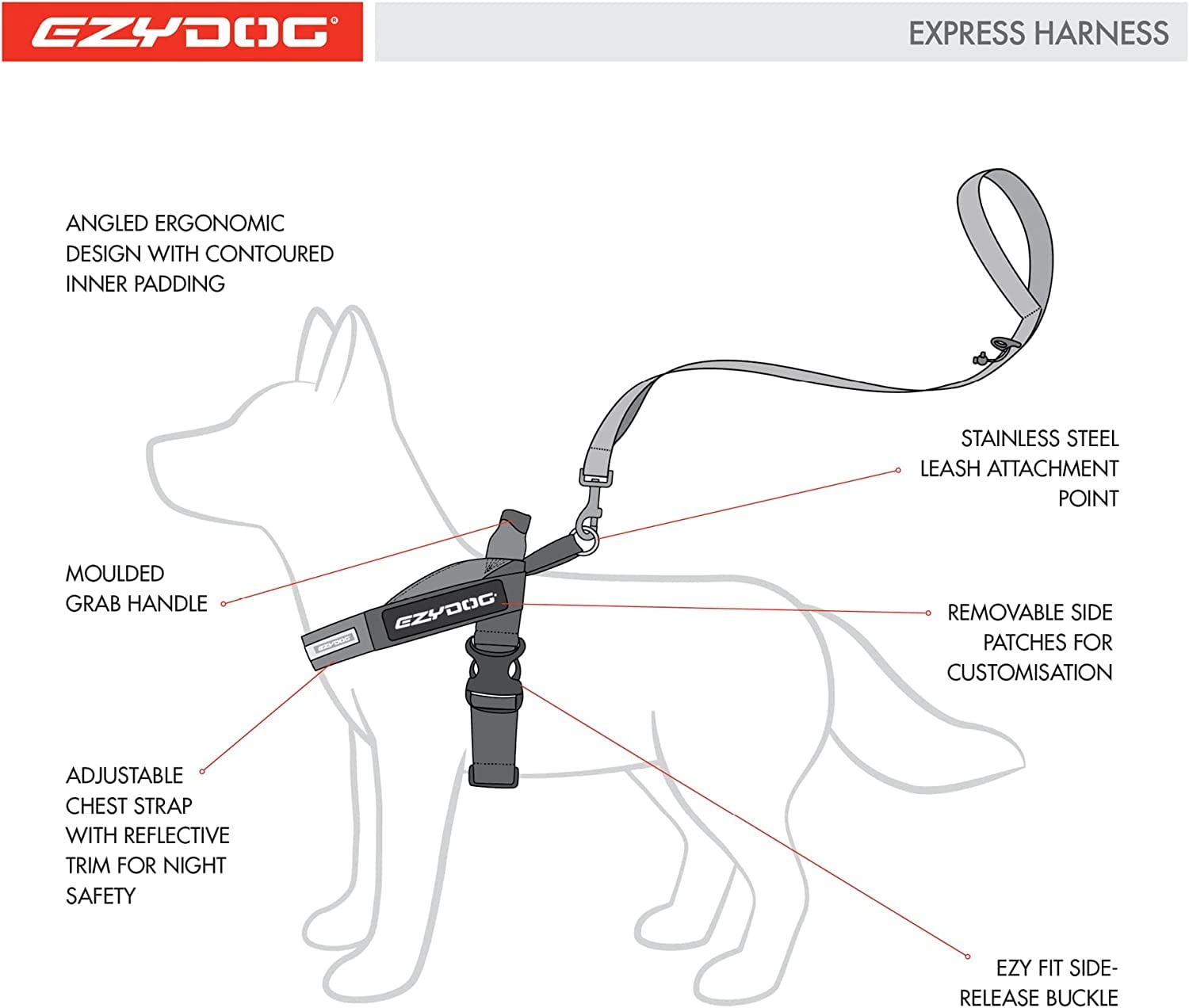 EzyDog Express Harness D-ring for attaching leash and accessories.