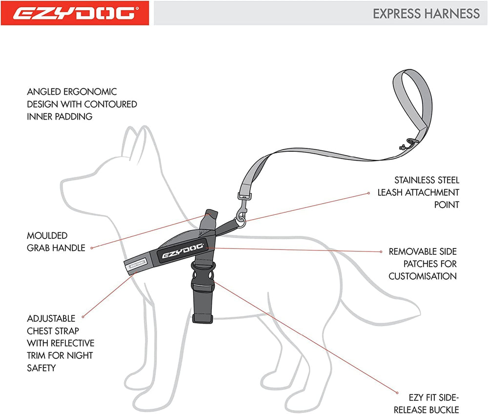 EzyDog Express Harness D-ring for attaching leash and accessories.